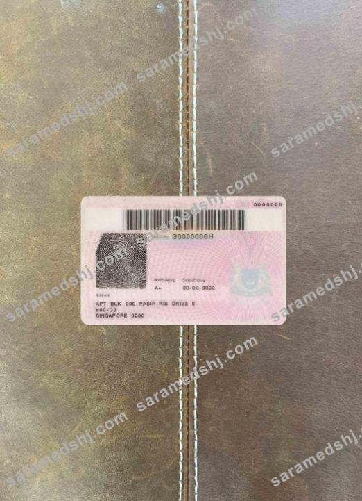 Singapore ID (updated) photolook BACK
